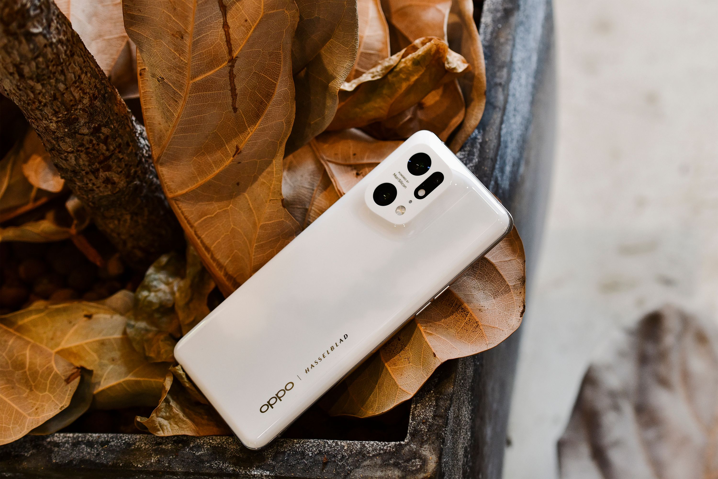 12+512g手机哪款最值得入手,12加512g手机售价一览表