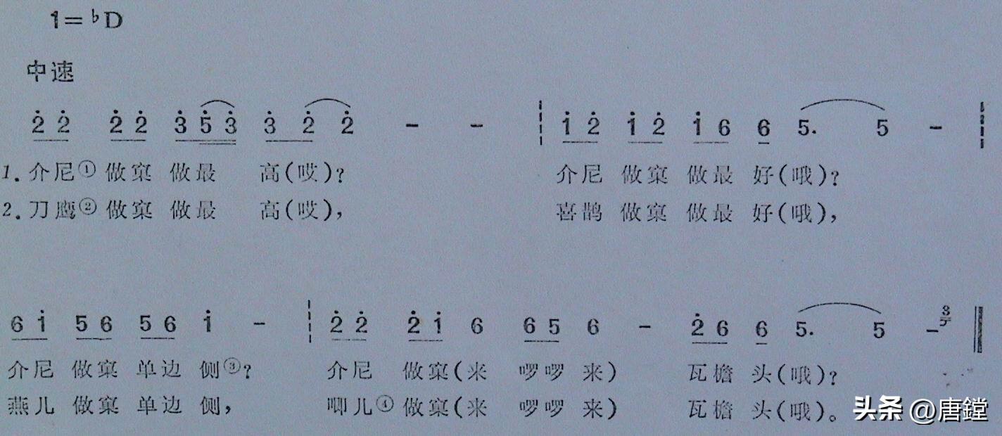 温暖与感情的传承——龙湾撞歌的传奇之路