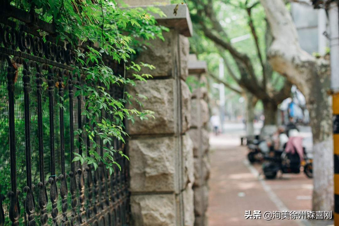 我在校园里的童年,我在小学的快乐时光