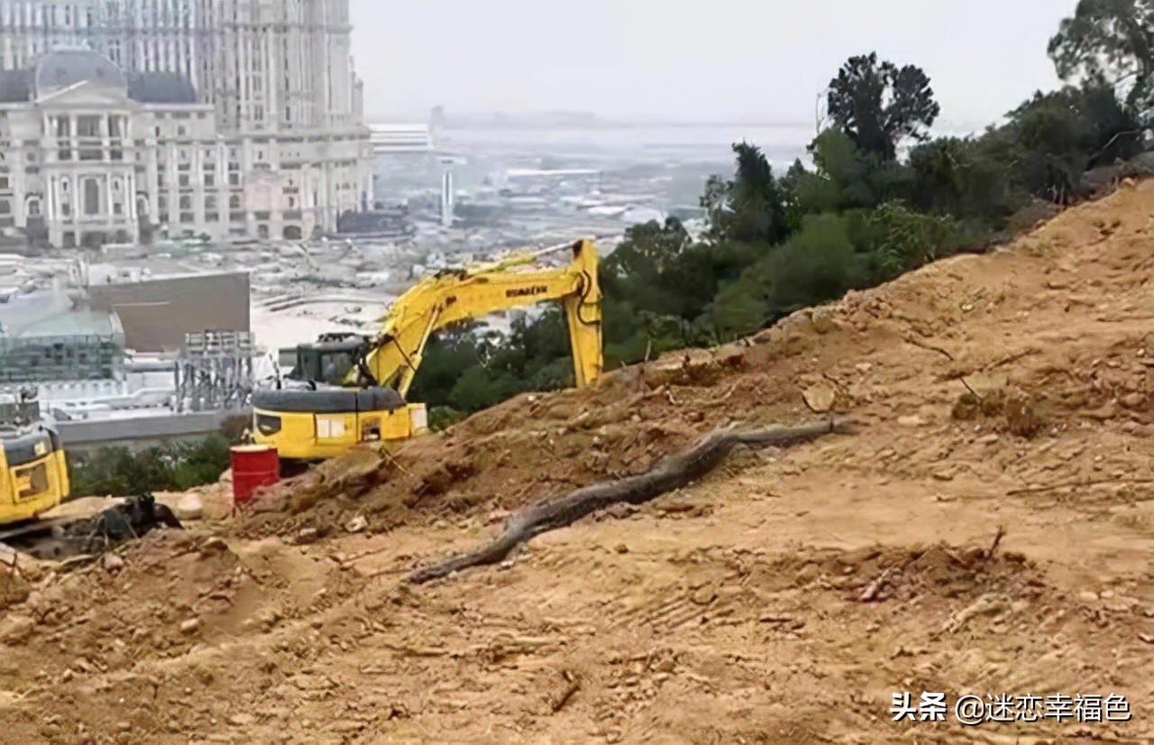 福建一工地挖出“冬眠”蟒蛇,一工地挖出“冬眠”蟒蛇