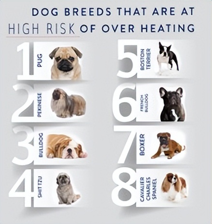 夏季高温中暑事件,高温中暑死亡事件预警