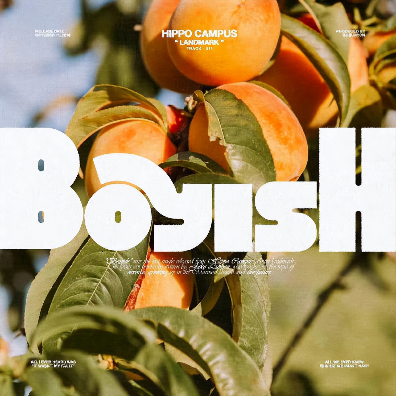 字体海报设计如何融入元素,以字体设计为基础的优秀海报招贴