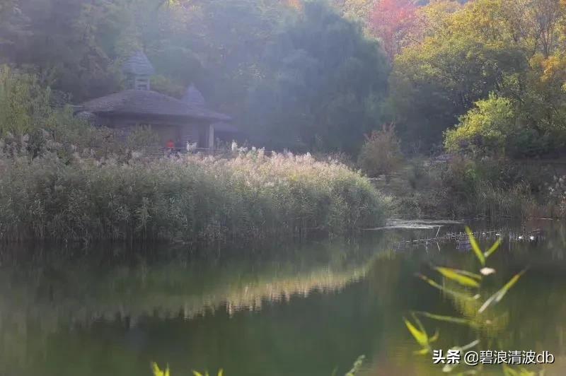 我眼中的家乡千山，真的很美