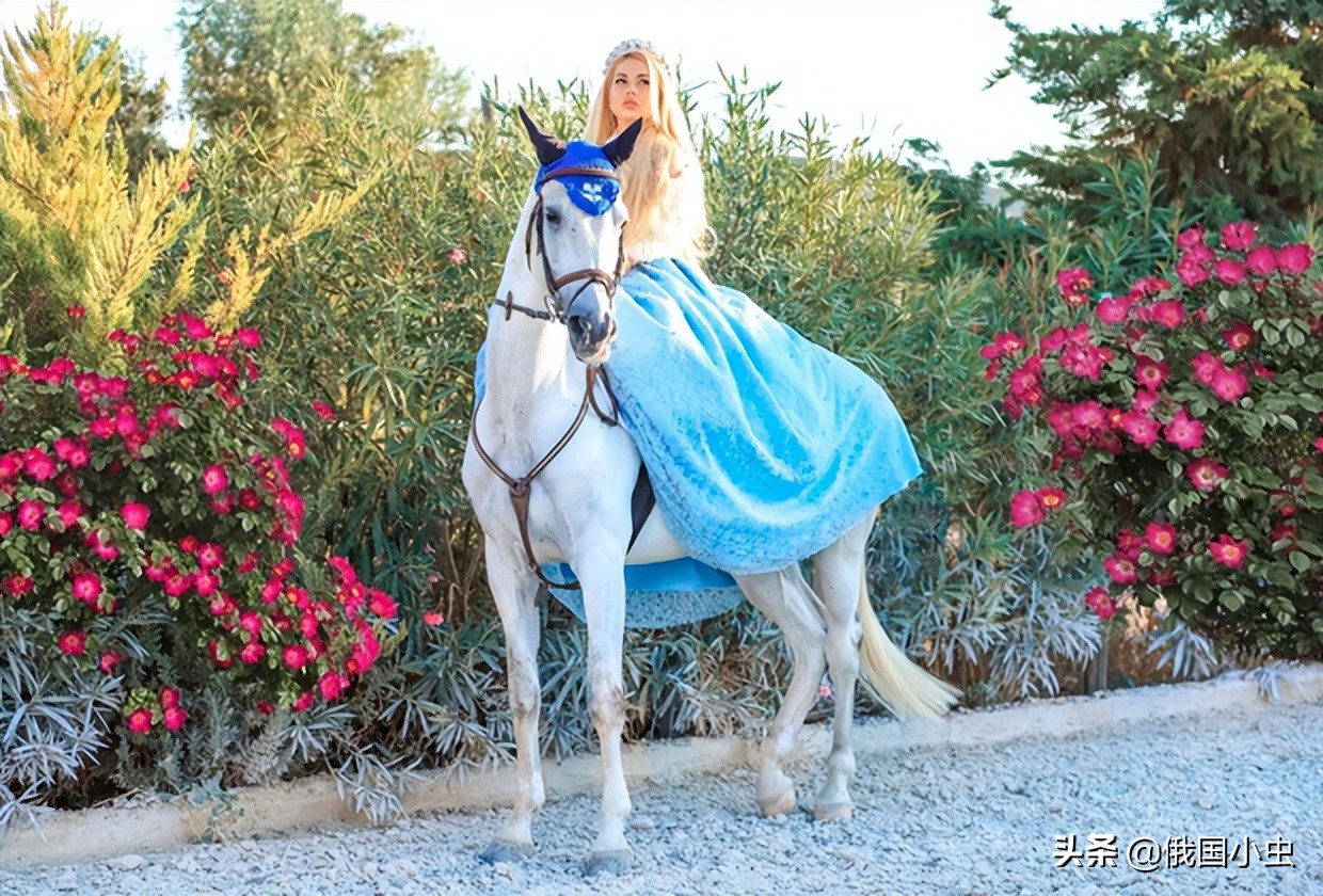 俄罗斯打黑除恶,俄罗斯对黑帮的整治