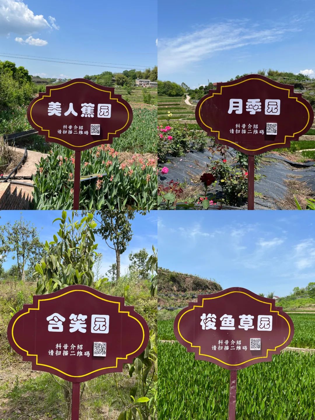 欢迎来到宜宾“北大门”！孔滩