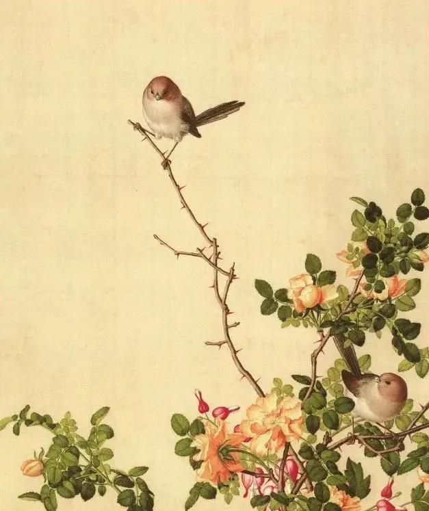 清代九大名家花鸟册页欣赏,清朝九大名家花鸟山水图