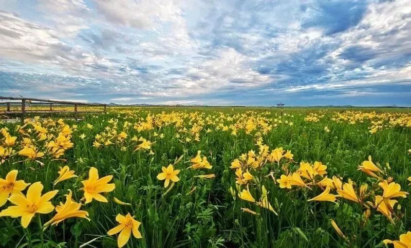 张北草原天路风景,张北草原天路路线