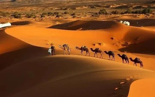阿联酋一半海水一半沙漠航拍,阿联酋都是沙漠么