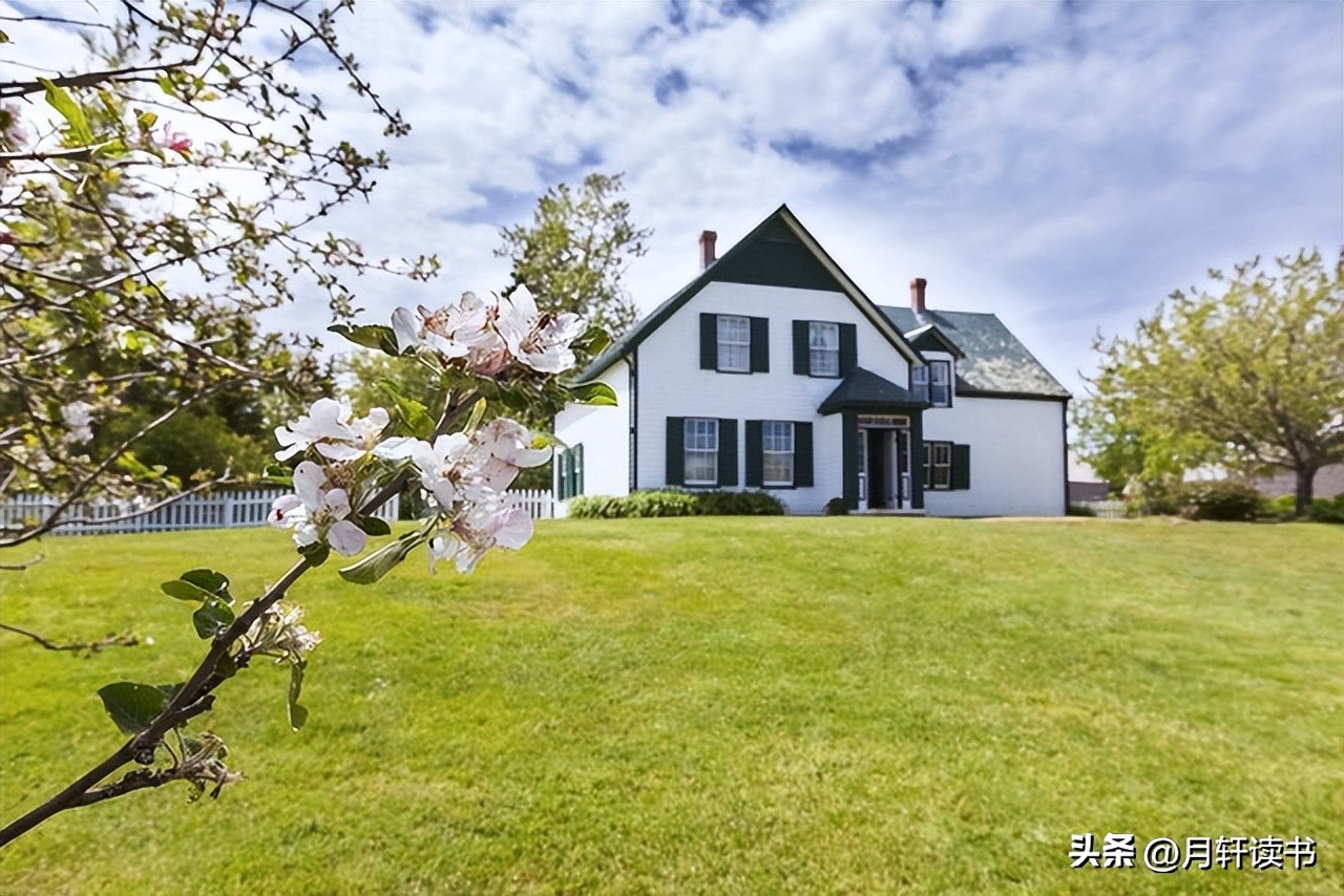 《绿山墙的安妮》读书笔记450字,绿山墙的安妮读书笔记250字