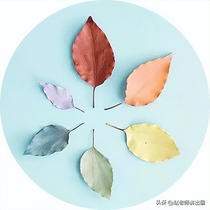 澳洲半工半读案例分享,澳大利亚半工半读打工真实收入