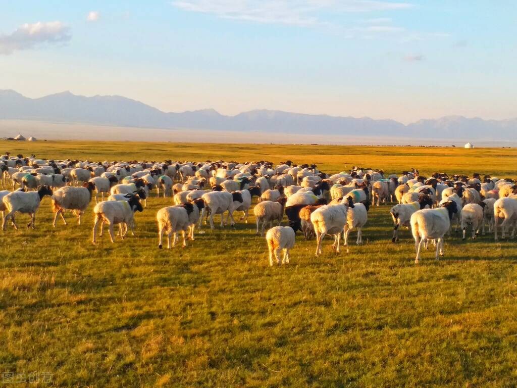 全球第一大农业出口国,全球十大出口国