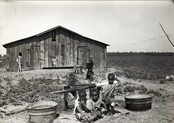 连体双胞胎姐妹的悲惨人生,双胞胎姐妹一个死亡后续