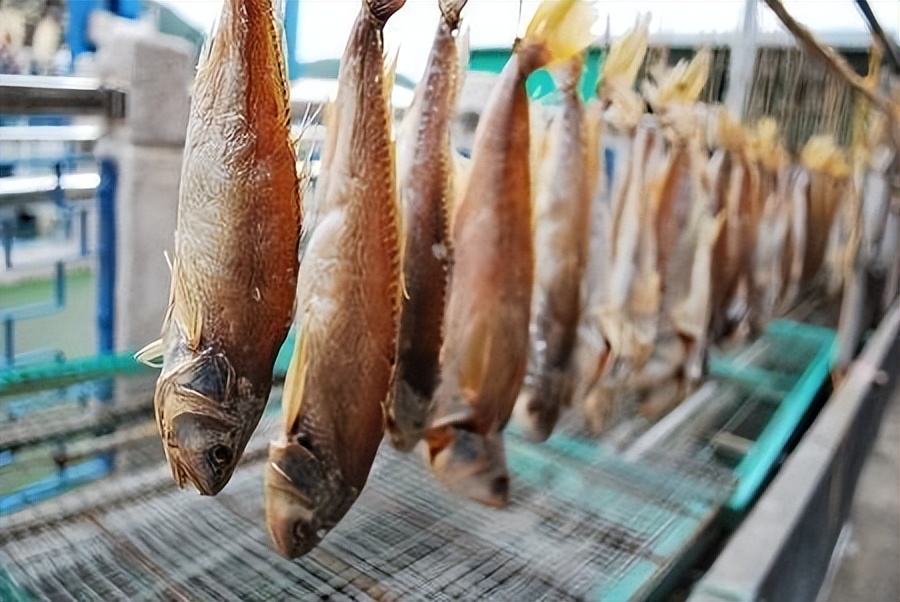 羊肉是心血管的祸根还是营养佳品,羊肉对癌细胞的作用