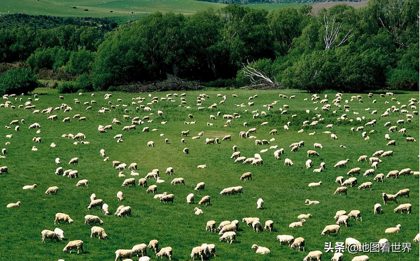 澳大利亚的国家基本常识,澳大利亚到底是个啥样的国家