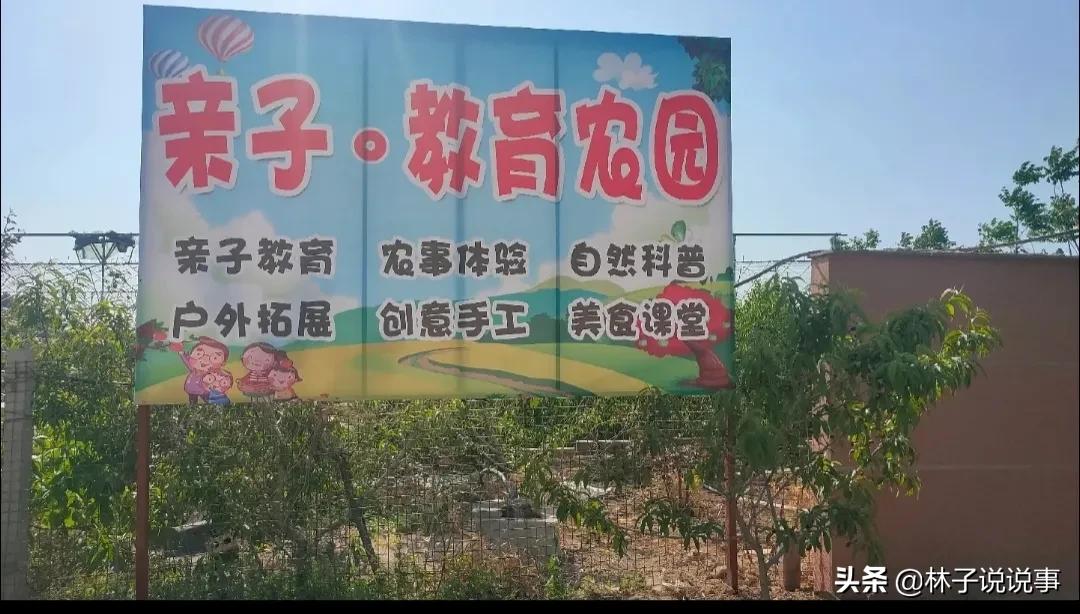 农村低成本创业项目小本生意投资,农村创业项目推荐2022小本生意