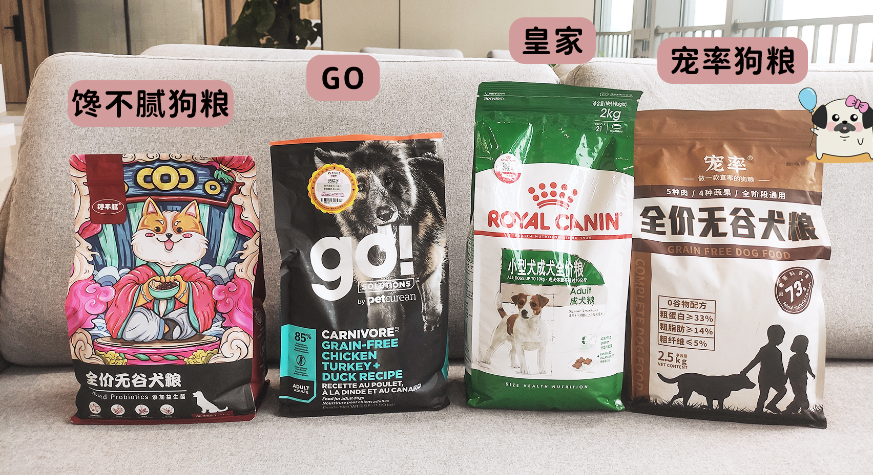 狗狗之间的6种交流方式,你全都知道吗?