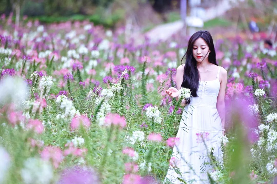 黄湾小镇避暑民宿,黄冈民宿自驾游