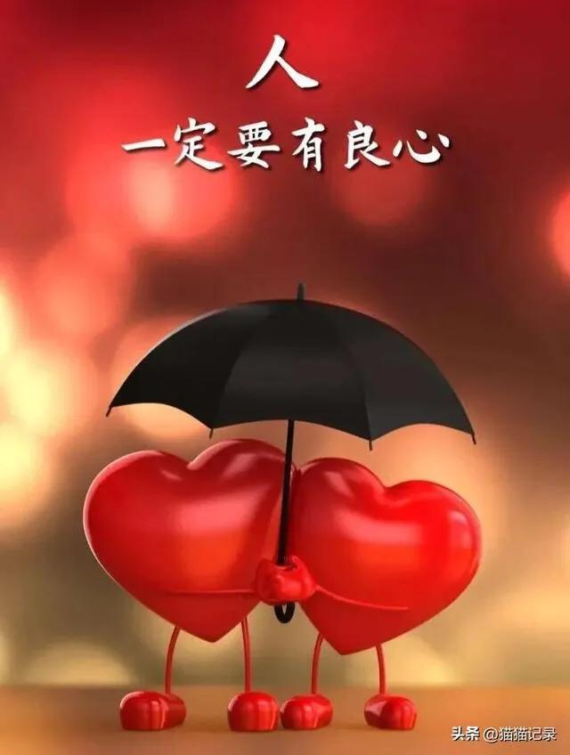 辽宁学校食堂对外承包,学校食堂不再对外承包原视频