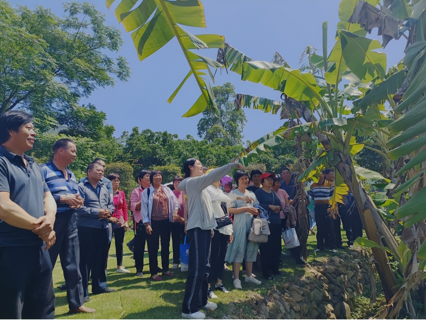 福建高素质农民培训地点,2022年高素质农民培训项目