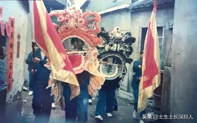 醒狮和瑞狮的区别在哪,醒狮的运动特点