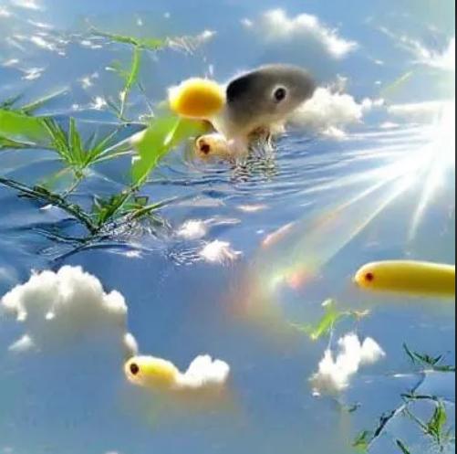 人工智能ai深度学习教程,用ai深度读书