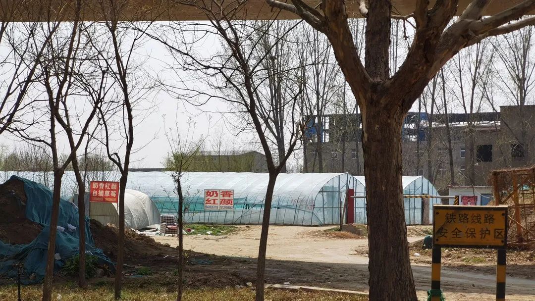 郑州的宇宙中心是哪个区域,宇宙中心河南郑州