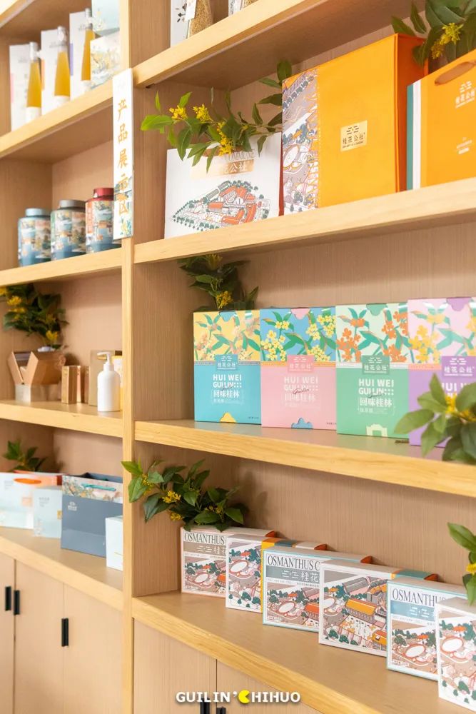 妗傛灄缇庨琛楁鑺辩硶,妗傛灄姝ｉ槼姝ヨ琛楃編椋熸鑺辩硶