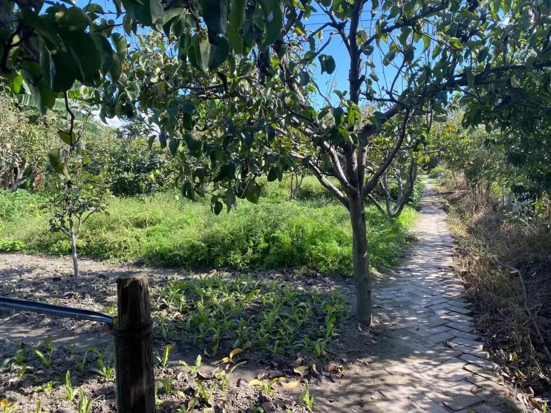 大理幼儿园环境,大理县城幼儿园