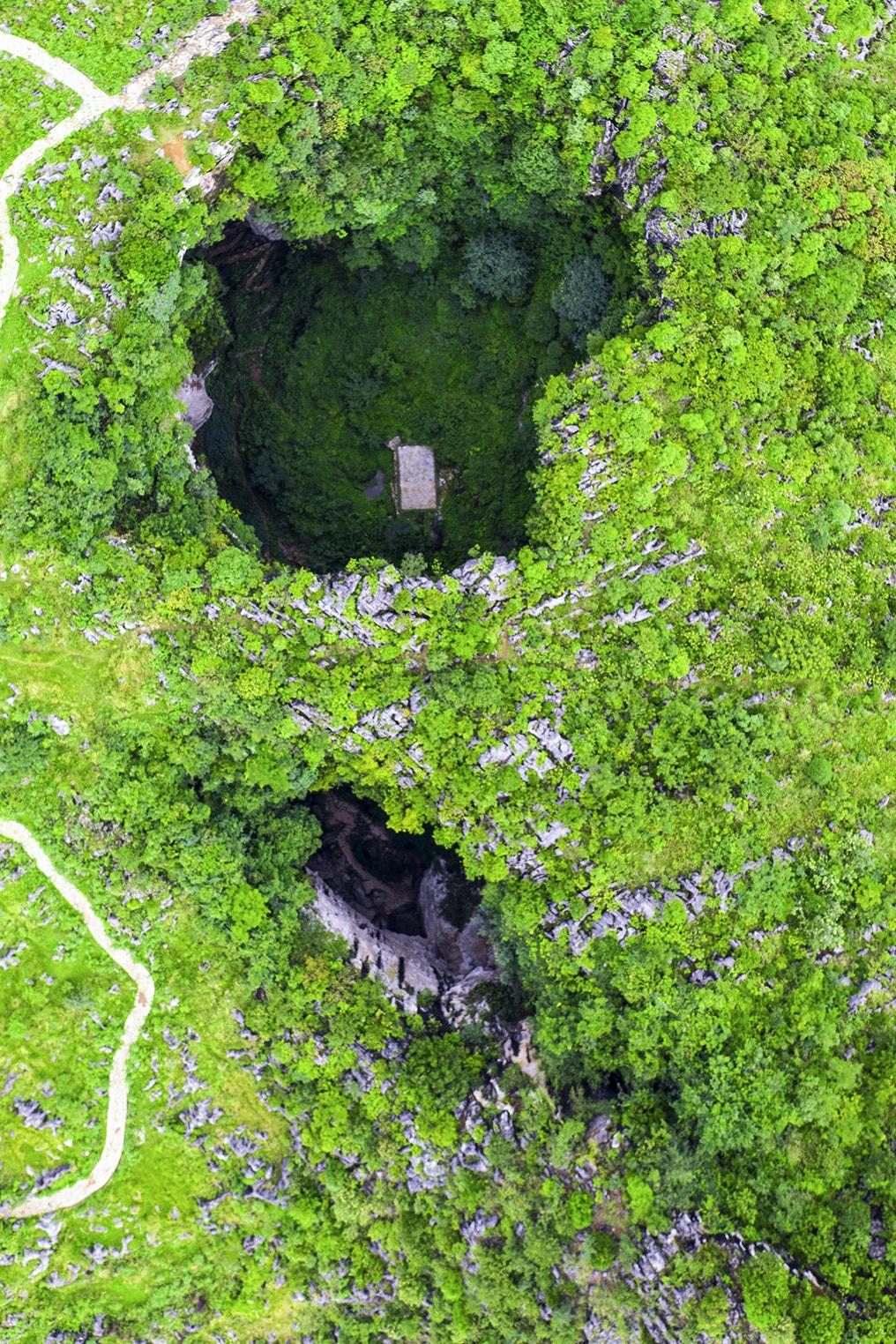 绿色狂想曲,绿色狂想曲三年级