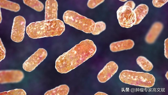 益生菌会给我们带来哪些益处（3）