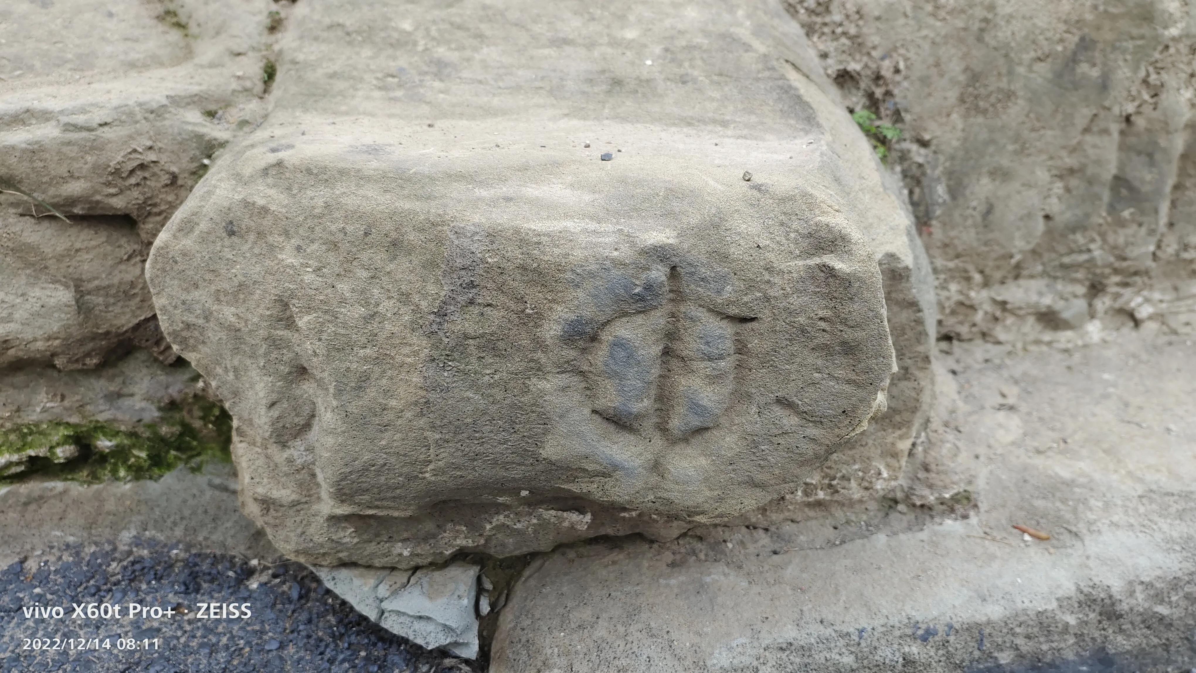 阆中鱼翅广场历史介绍,阆中鱼翅遗迹