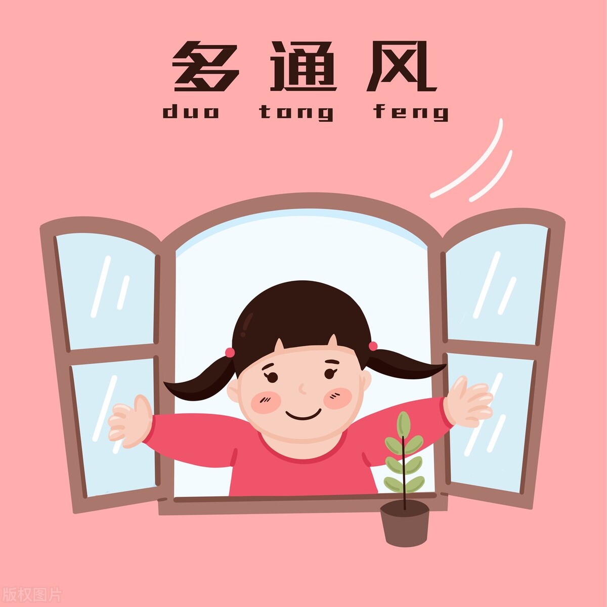 新房除甲醛最快速方法,新房绿植除甲醛最快速方法