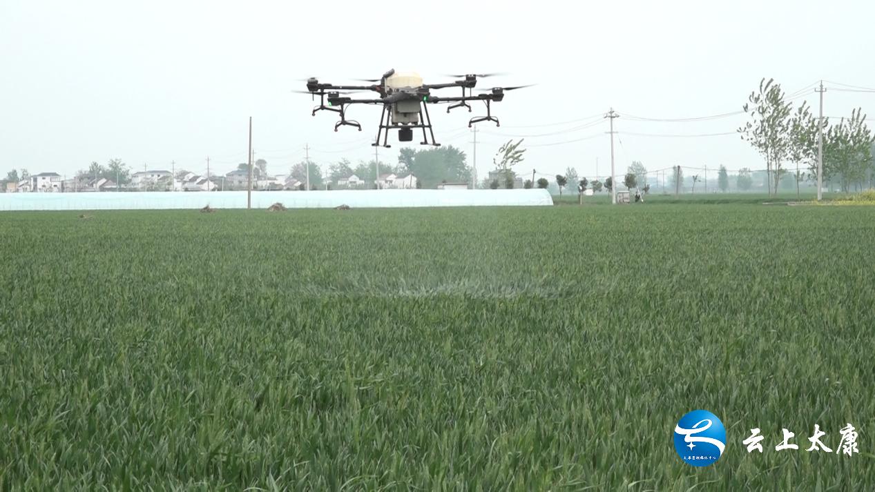 网格员协助种植大户寻找插秧机,农业技术员田间地头护航春耕