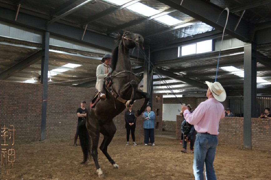 黄渤的封神,黄渤封神之路