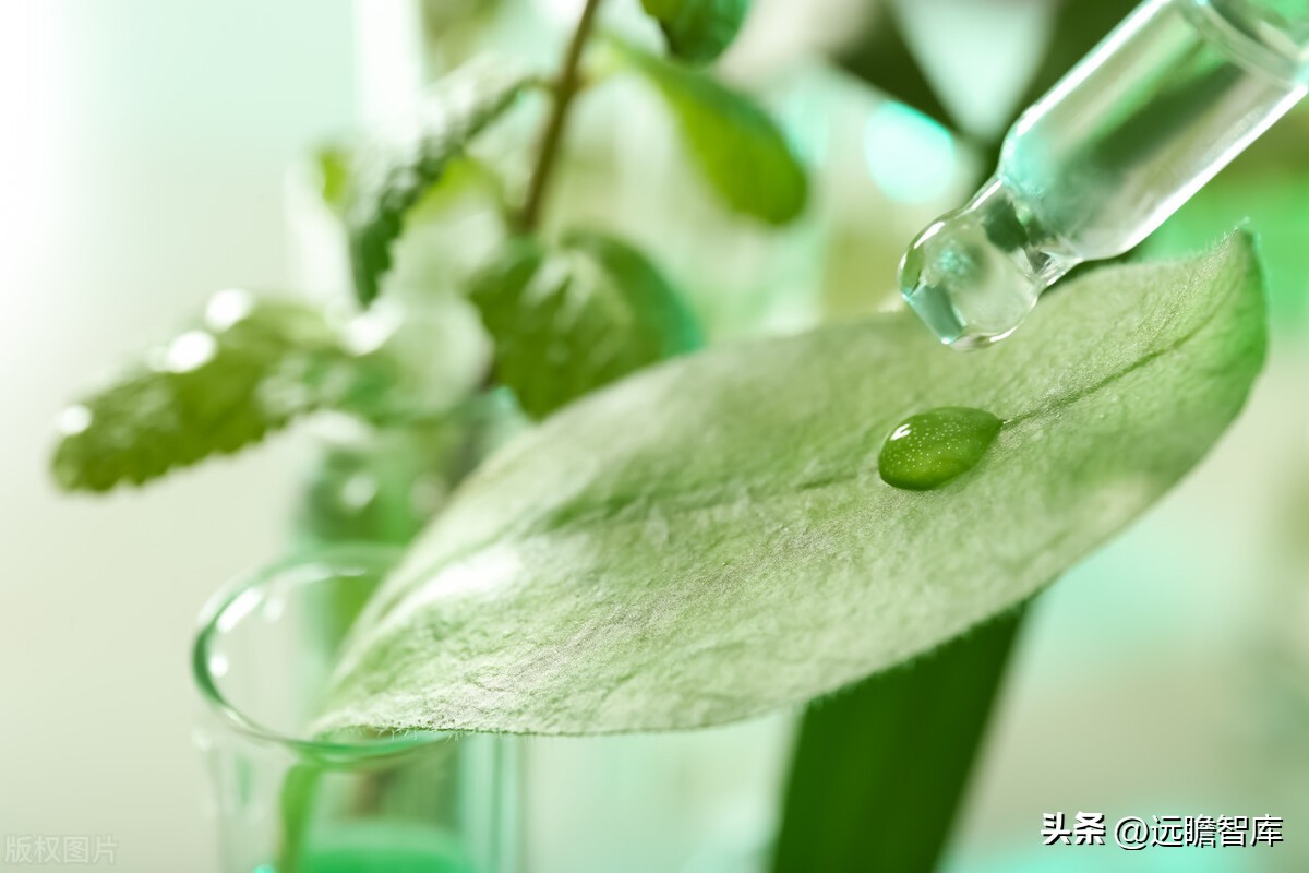 天然黄酮提取“小巨人”，欧康医药：推进中草药融入主流市场