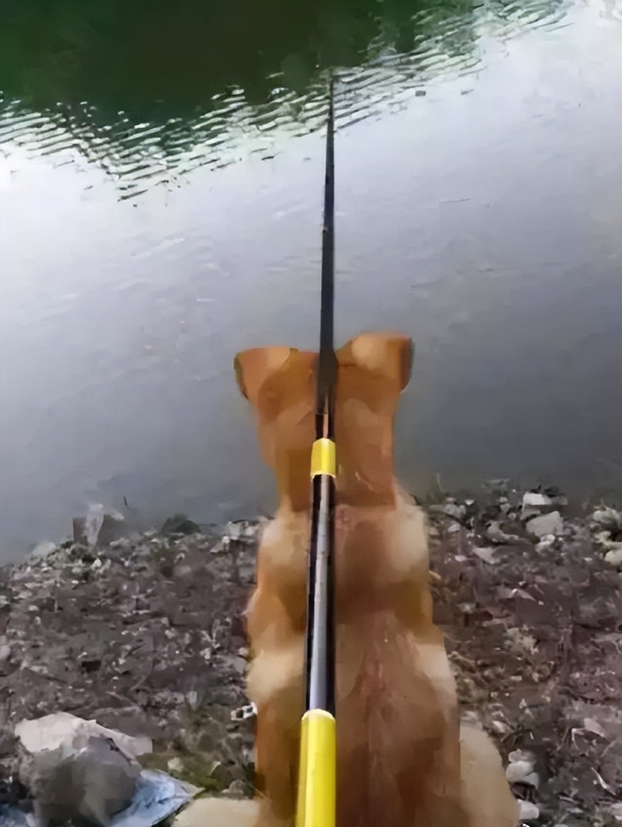 野钓什么小鱼最好吃,冬季野钓小鱼技巧