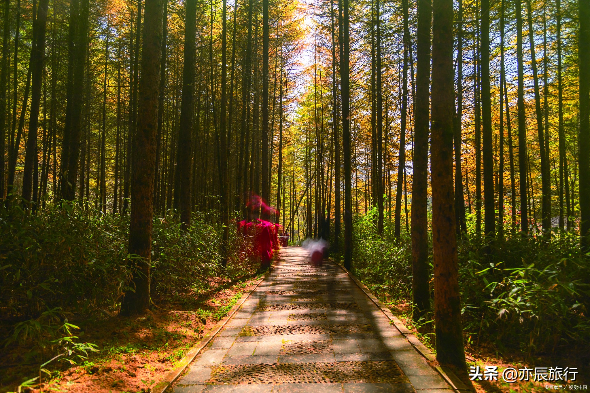 南昌秋季旅游攻略最新版,南昌秋季好玩的地方推荐