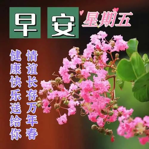 星期三早安创意早上好问候语图片,最新周五早上好问候语表情包