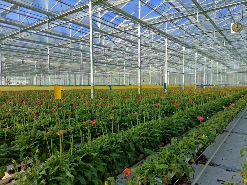 不懂昆明风情？跟我走，一起打开“诗画官渡”地图~