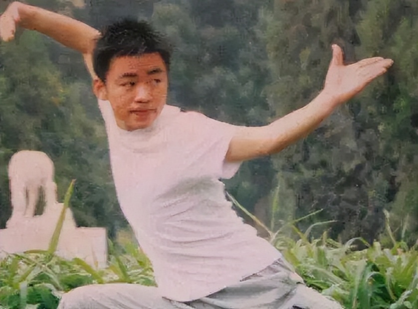 王宝强事件最新爆料,王宝强事件具体情况