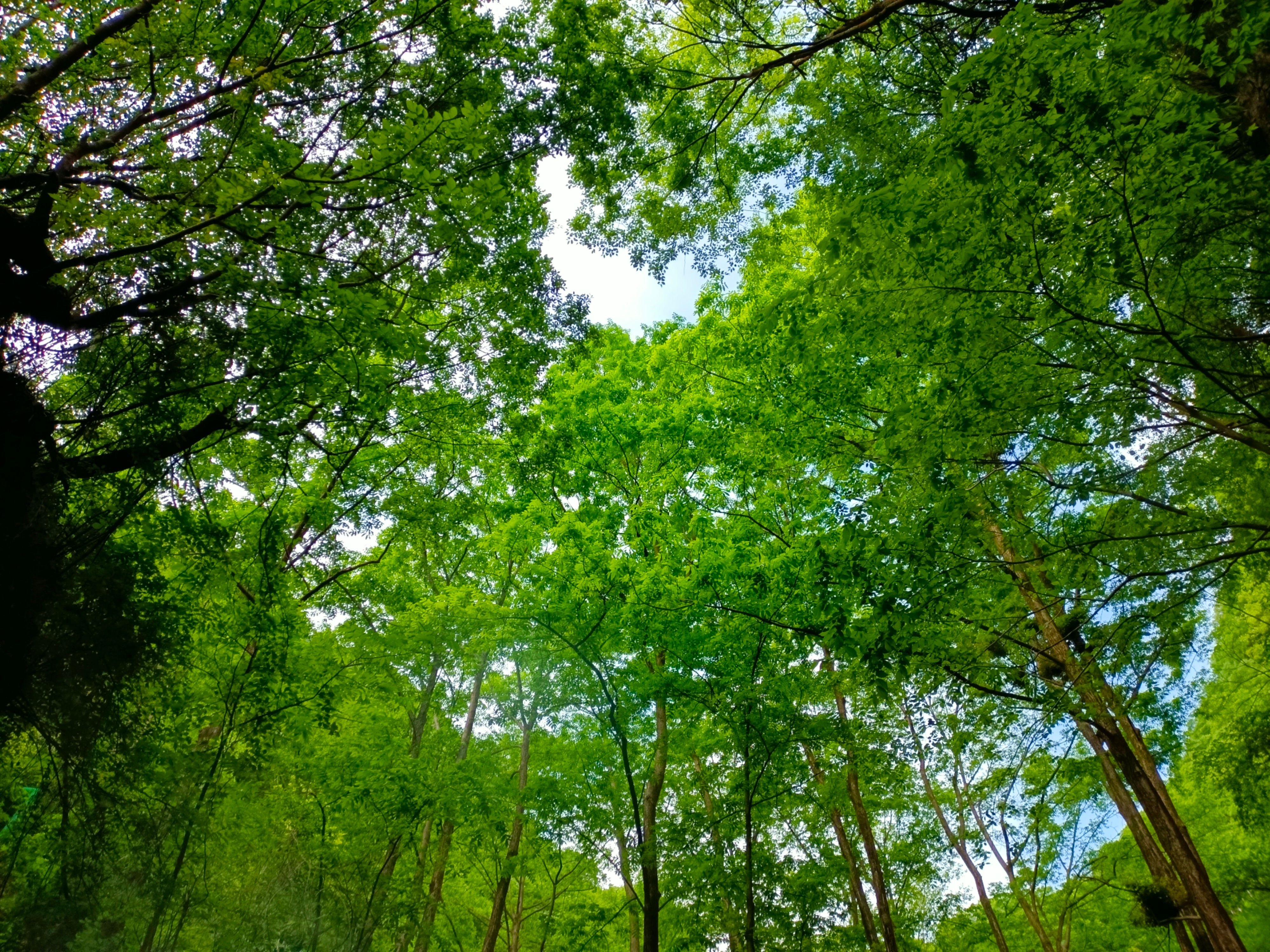 洛阳博物馆剧本杀,洛阳剧本体验馆