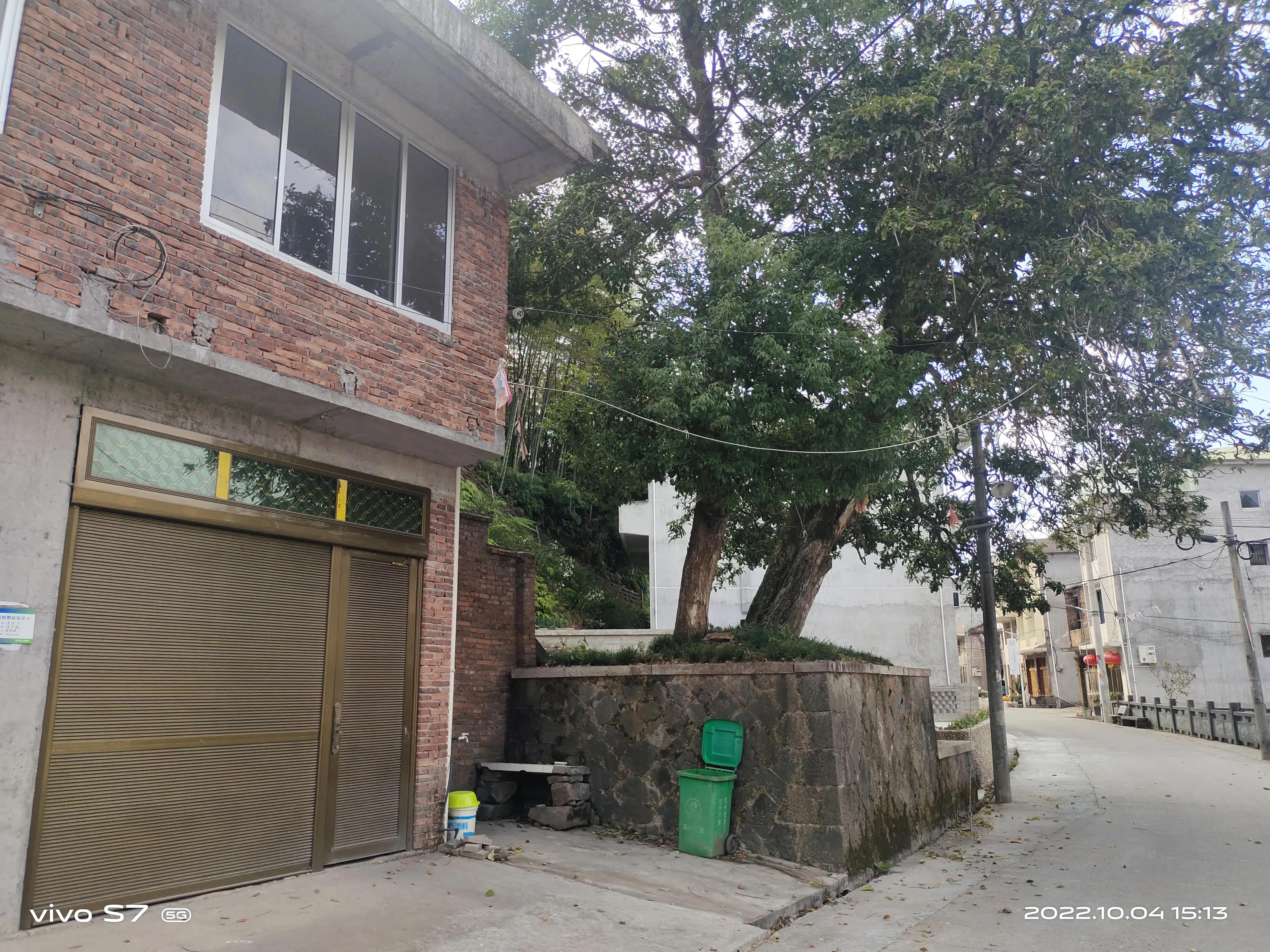 泰顺三杯香茶官网,泰顺县三杯香茶产地