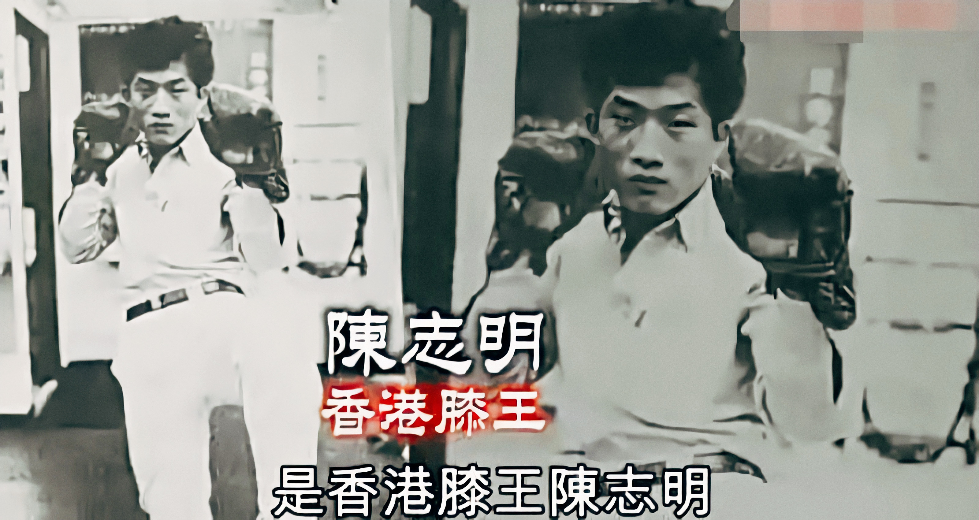 新义安总教头苏龙采访,新义安苏龙事件