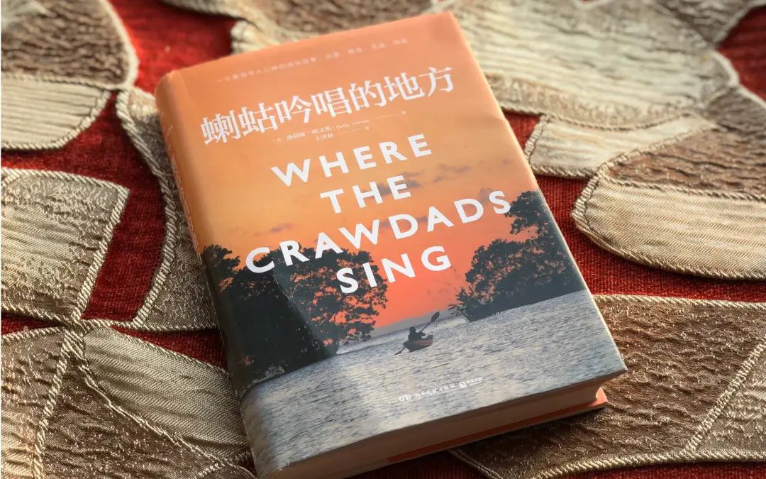 全球票房突破十亿美元最快的电影,评分9.1全球票房近10亿