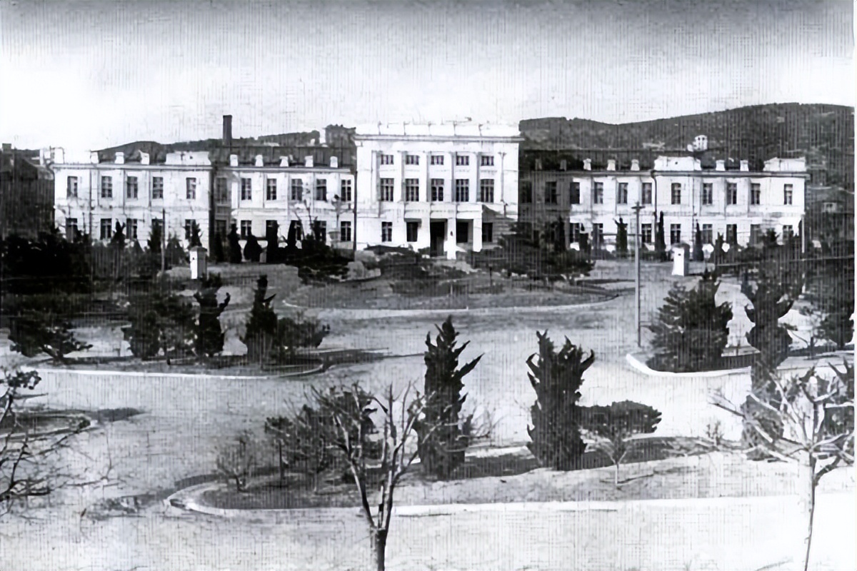 张学良的40万东北军都去哪里了,张学良手握30万大军为何不抵抗