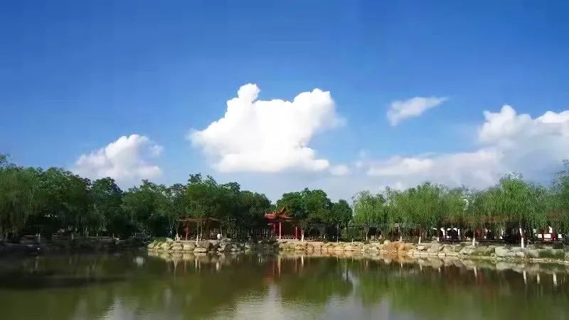 甲癌感恩的话,甲友心声抗癌15年