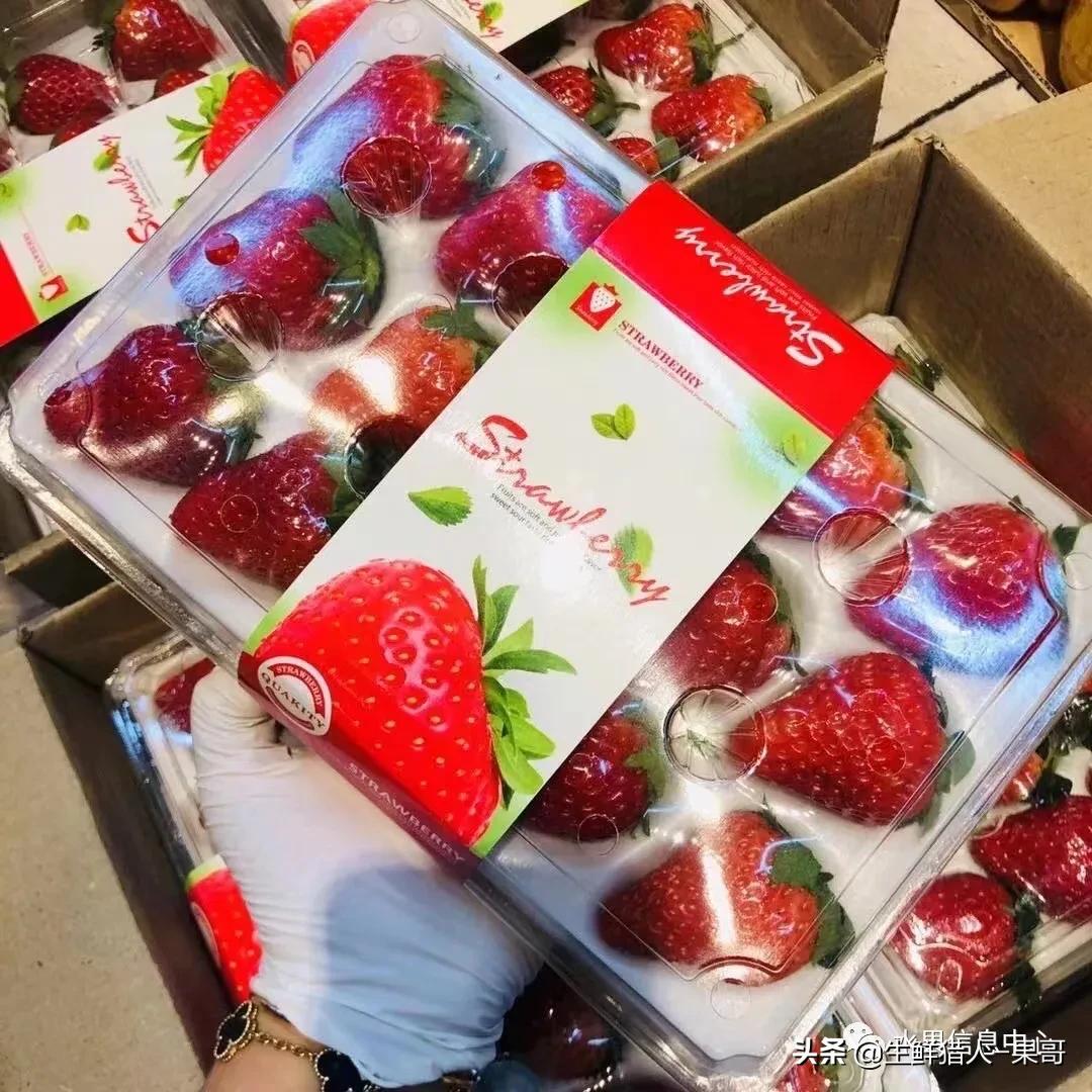 在水果中浆果是分哪几种,水果分类浆果