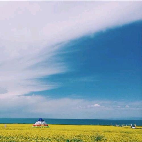 兴趣是最好的老师作文记叙文,兴趣是最好的老师高中作文800字