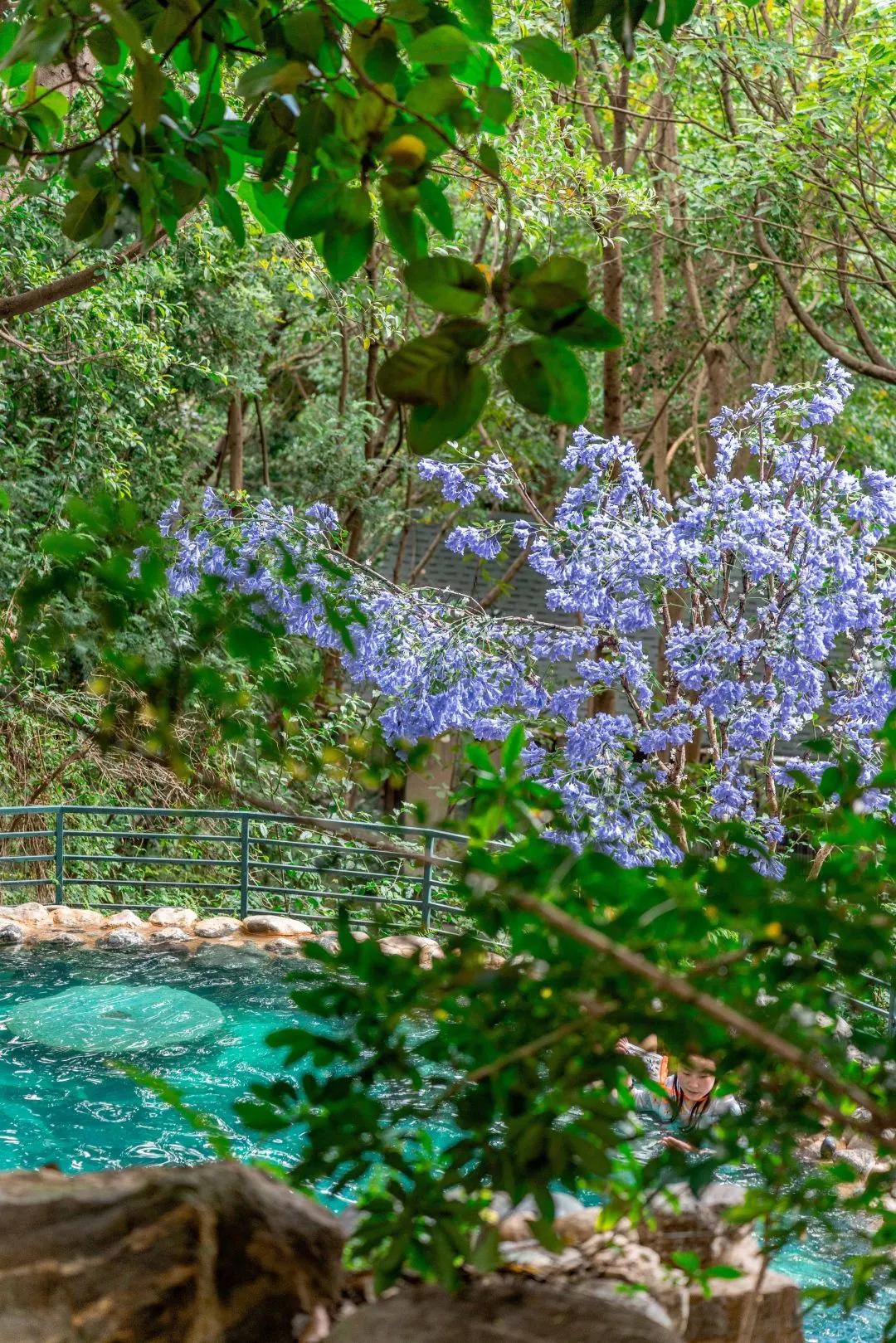 昆明5小时温泉,昆明温泉亿壕