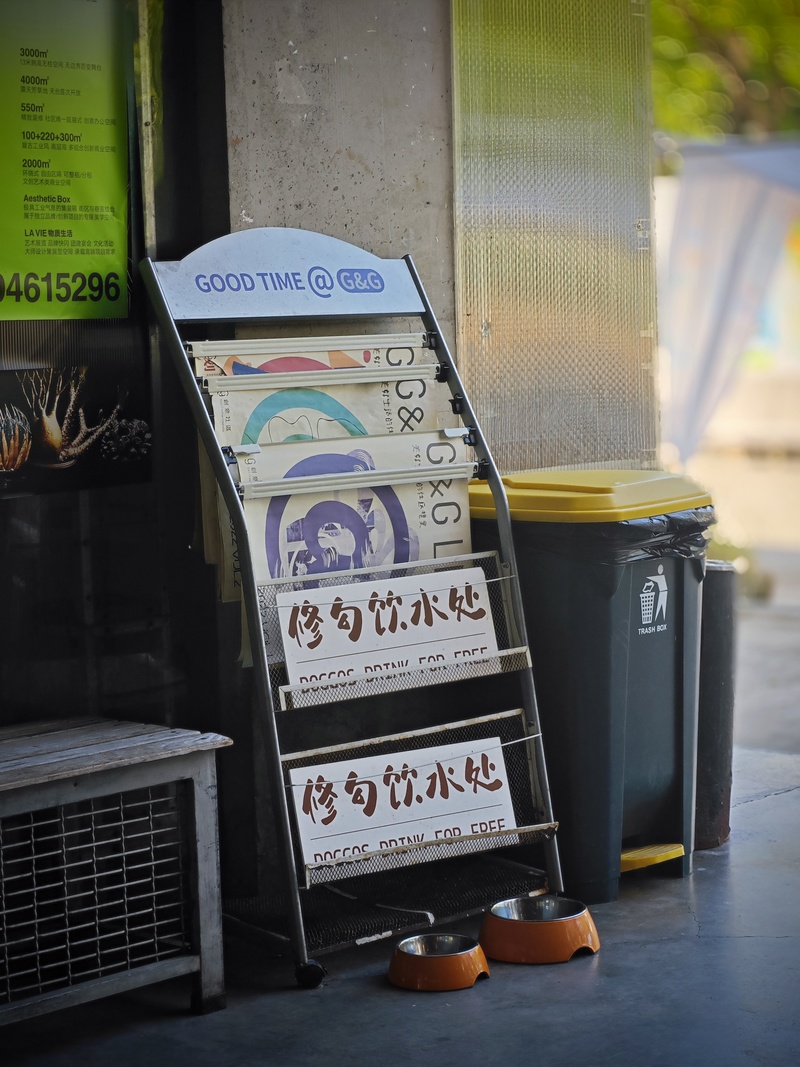 深圳市蛇口攻略,深圳海岛蛇口